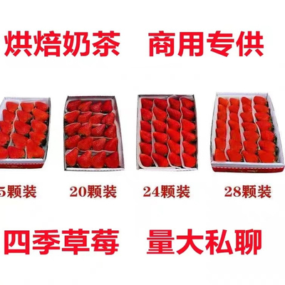 新鲜商用草莓整箱顺丰产地直发