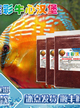 七彩神仙鱼牛心汉堡专用饲料鱼食