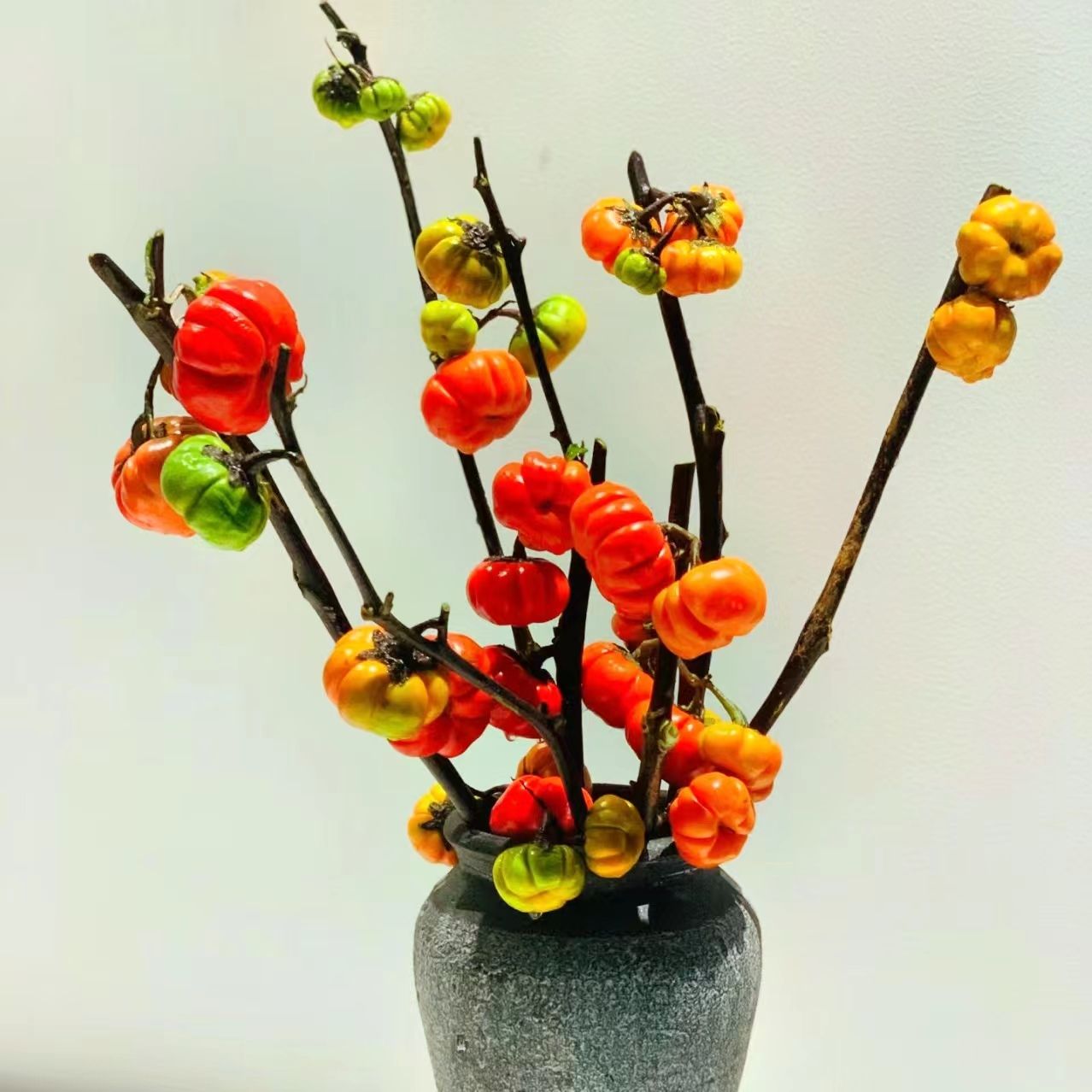 新鲜小南瓜小番茄鲜花枝水养水培