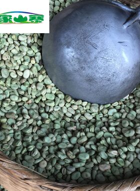 保山特产绿心蚕豆种子