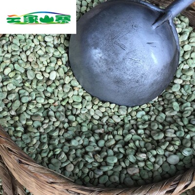 保山特产绿心蚕豆种子