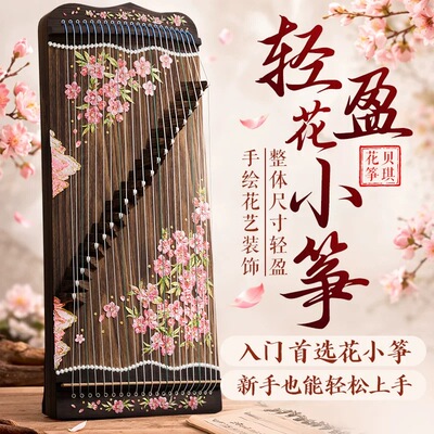 betsy贝琪花小筝70cm便携21弦小古筝初学者入门练习演奏