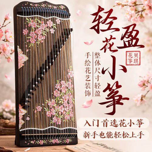 贝琪花小筝70cm便携21弦小古筝初学者入门练习演奏