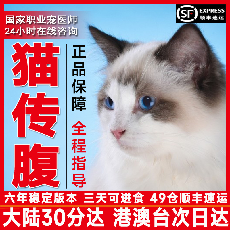 猫传腹腹膜炎消腹水湿性干性猫