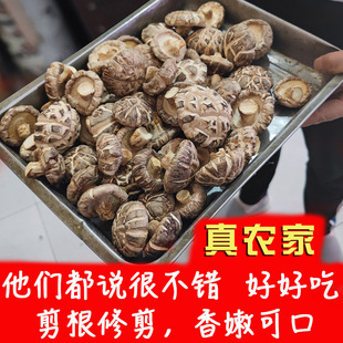 庆元香菇新花菇干货农家剪根精选香菇花菇蘑菇肉厚250g土特产山珍