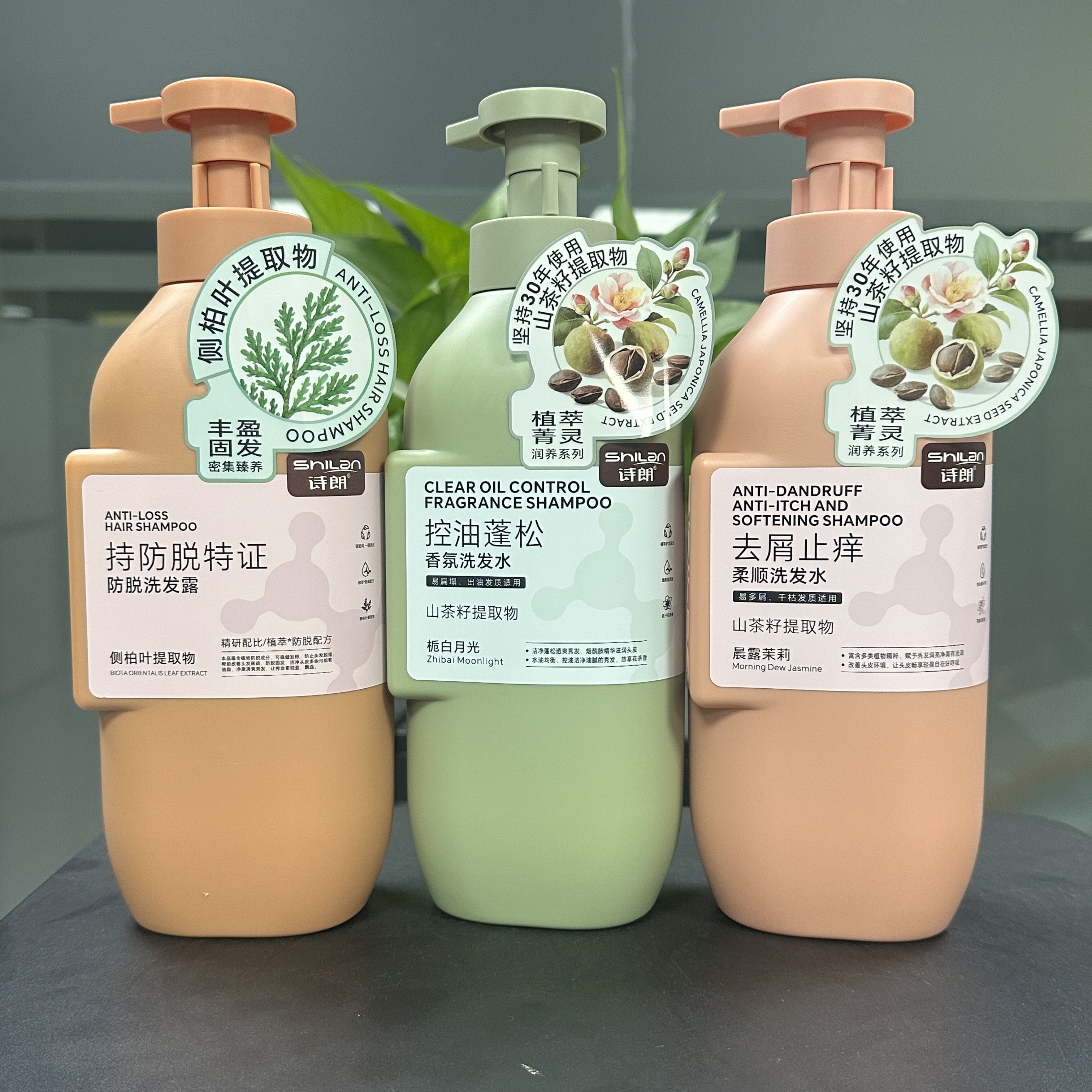 诗朗防脱控油去屑洗发水