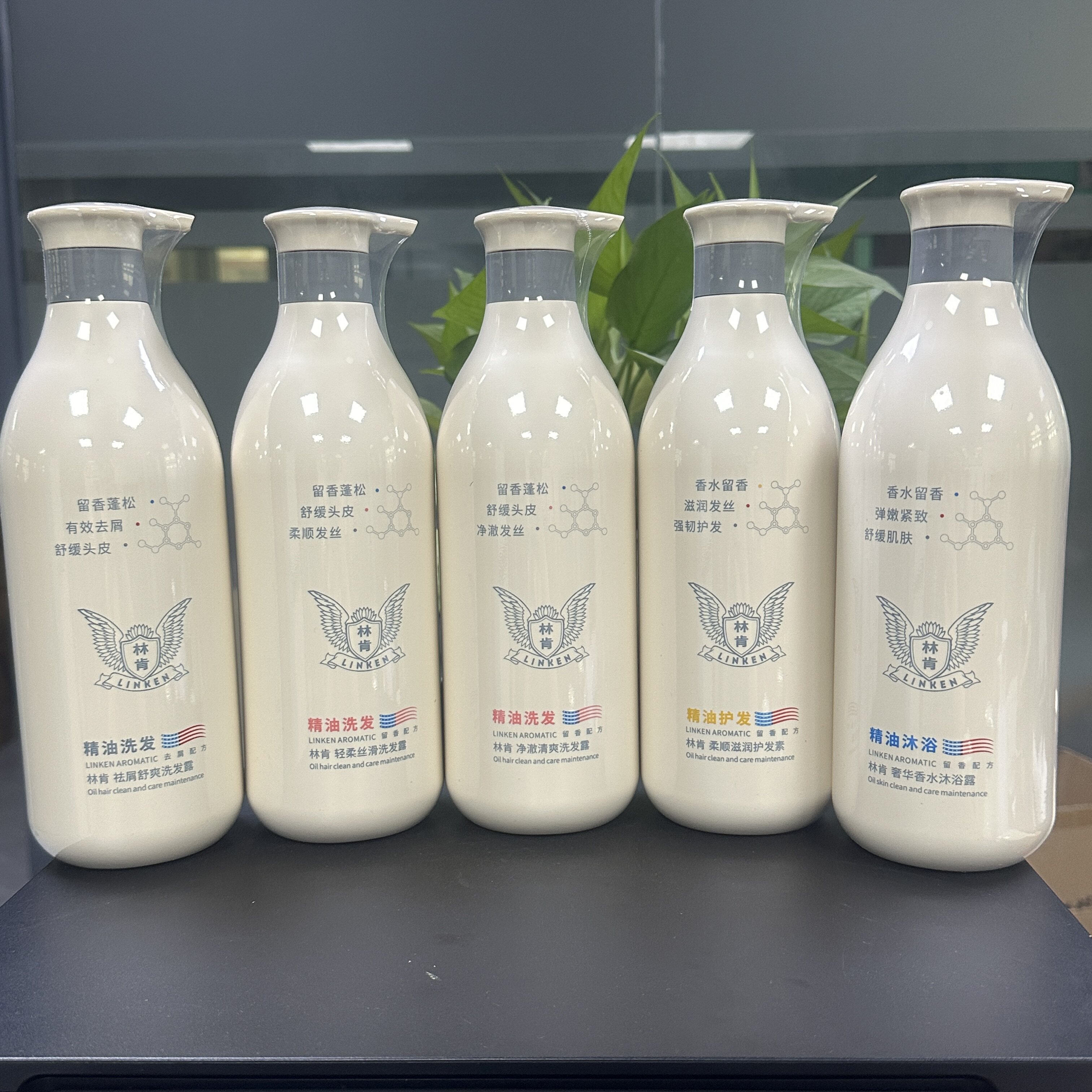 林肯精油去屑舒爽洗沐护套装