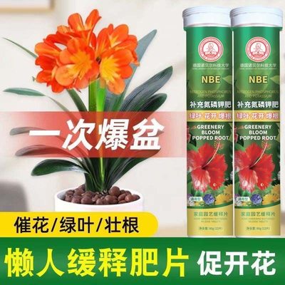 【德国通用型】植物营养缓释片花卉绿植多肉通用型氮磷钾复合肥料