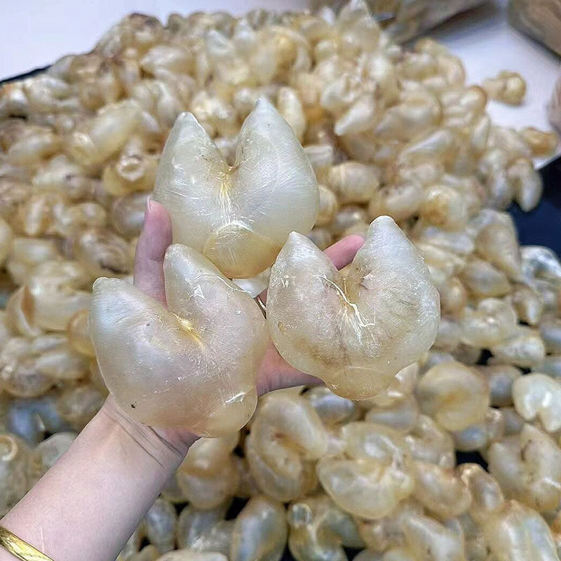 鸡泡胶花胶鱼胶干刺龟胶养宫备孕月子鱼胶增厚内膜调理子宫生仔胶