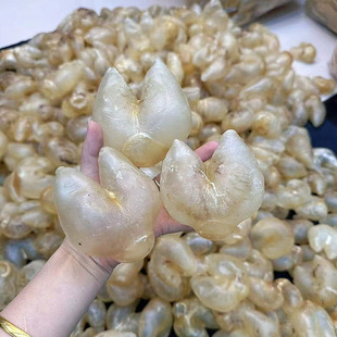 鸡泡胶花胶鱼胶干刺龟胶养宫备孕月子鱼胶增厚内膜调理子宫生仔胶