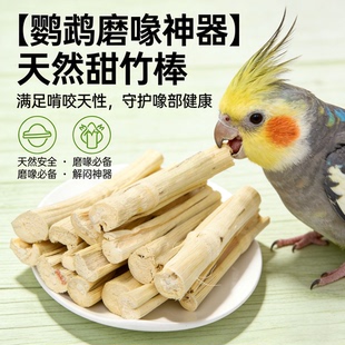 鹦鹉磨牙棒甜竹玩具解闷自嗨专用磨嘴器石小鸟甜竹苹果枝用品大全