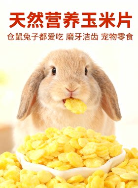 兔子仓鼠零食玉米片无糖饲料