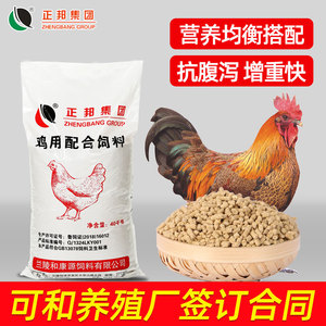 蛋鸡全价料