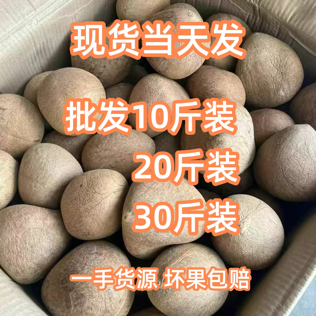 印度椰皇椰子肉新鲜打椰奶煲汤餐饮椰子鸡奶香火锅海椰皇老椰子干