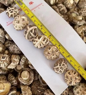 随州出口天白花菇干货厚肉小花菇煲汤蘑菇新货香菇非椴木野生菌菇