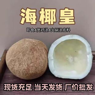 印度海椰皇干椰子整个新鲜椰肉切条煲汤无汁椰皇大果椰青海底椰片