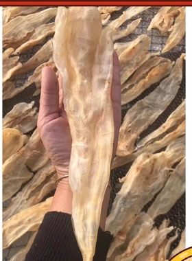 半斤7个大北海胶鱼胶巴西北海阴阳肚鳘鱼胶花胶干货正品 鱼肚鱼鳔