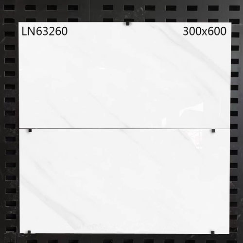东鹏瓷砖300X600厨卫墙砖63111 63260 63265 63264 63290 63714