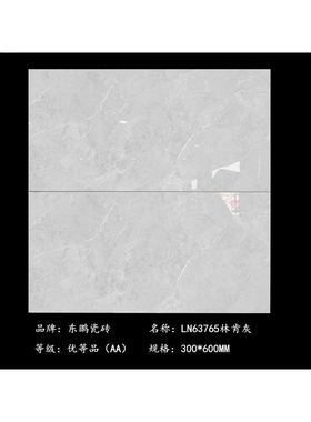 东鹏瓷砖300X600卫生间墙砖63111 63262 63260 63264 63290 63265