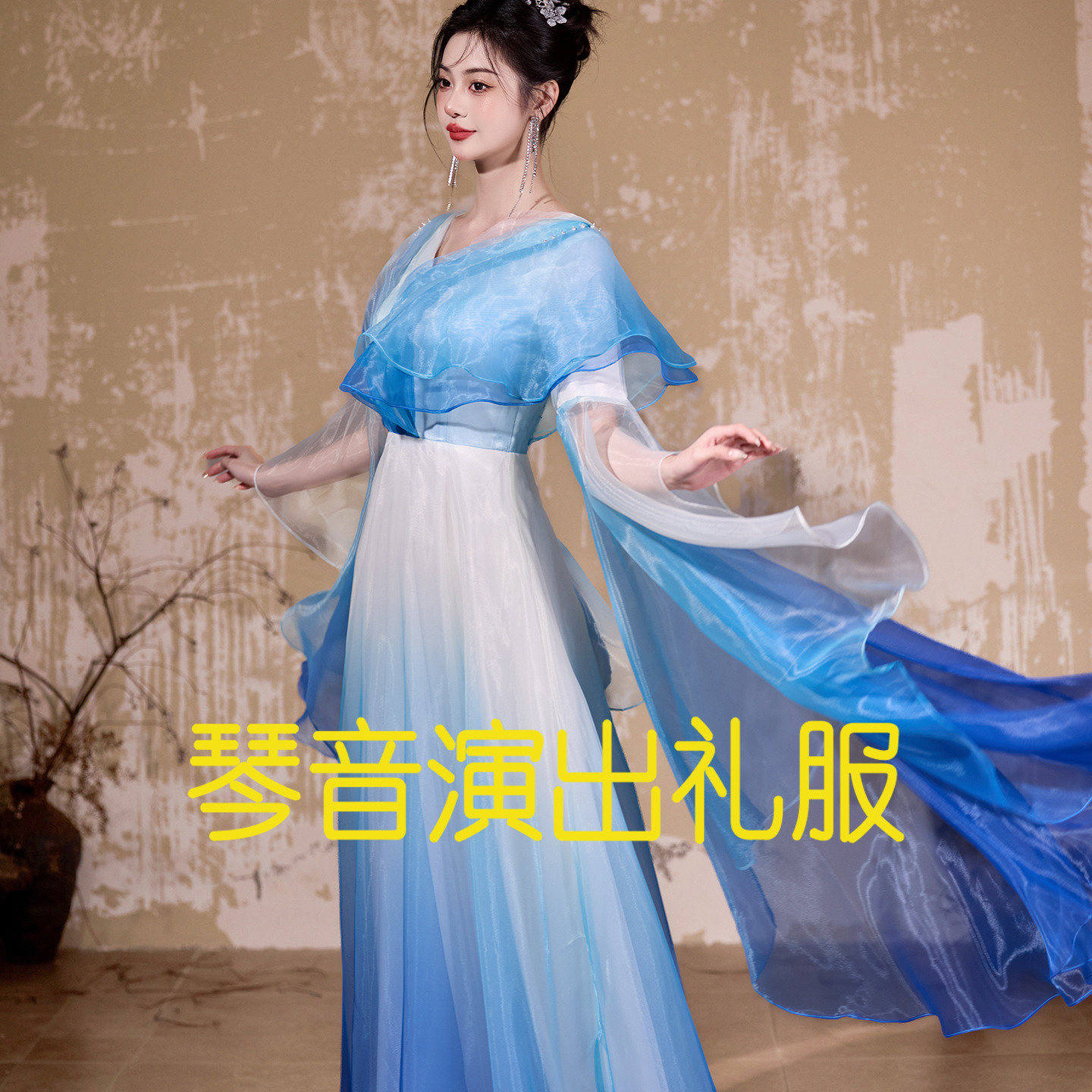 学生艺考民乐独奏民歌独唱礼服女
