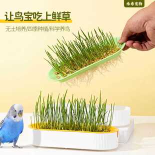 鸟食青草鹦鹉饲料种子粮发芽草玄风牡丹虎皮鸟粮食零食小麦鸟草盒
