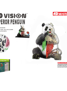 4D MASTER大熊猫模型动物解剖内脏骨骼器官医学教学4dmaster拼装