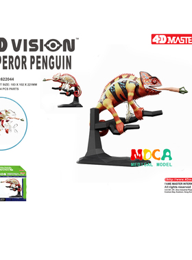 4D MASTER变色龙模型仿真动物骨骼器官医学教学模型4dmaster拼装