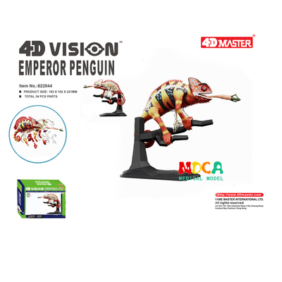 4dmaster变色龙仿真解剖模型动物