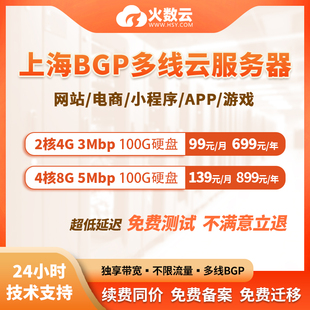 上海BGP多线云服务器网站游戏电商服务器独享带宽云电脑租用