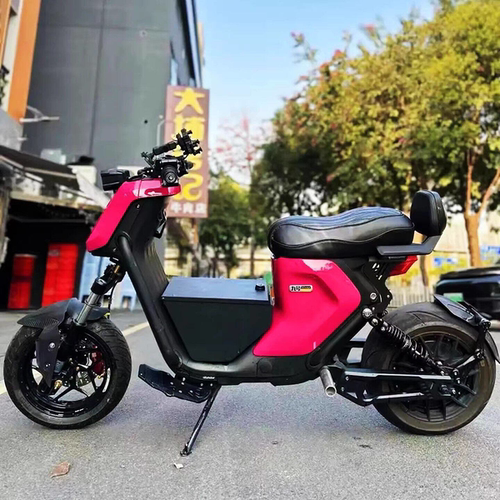 比博士后减震RS2pro适用AE8九号M5 F2z FXT MZ机械师二代小牛NXT