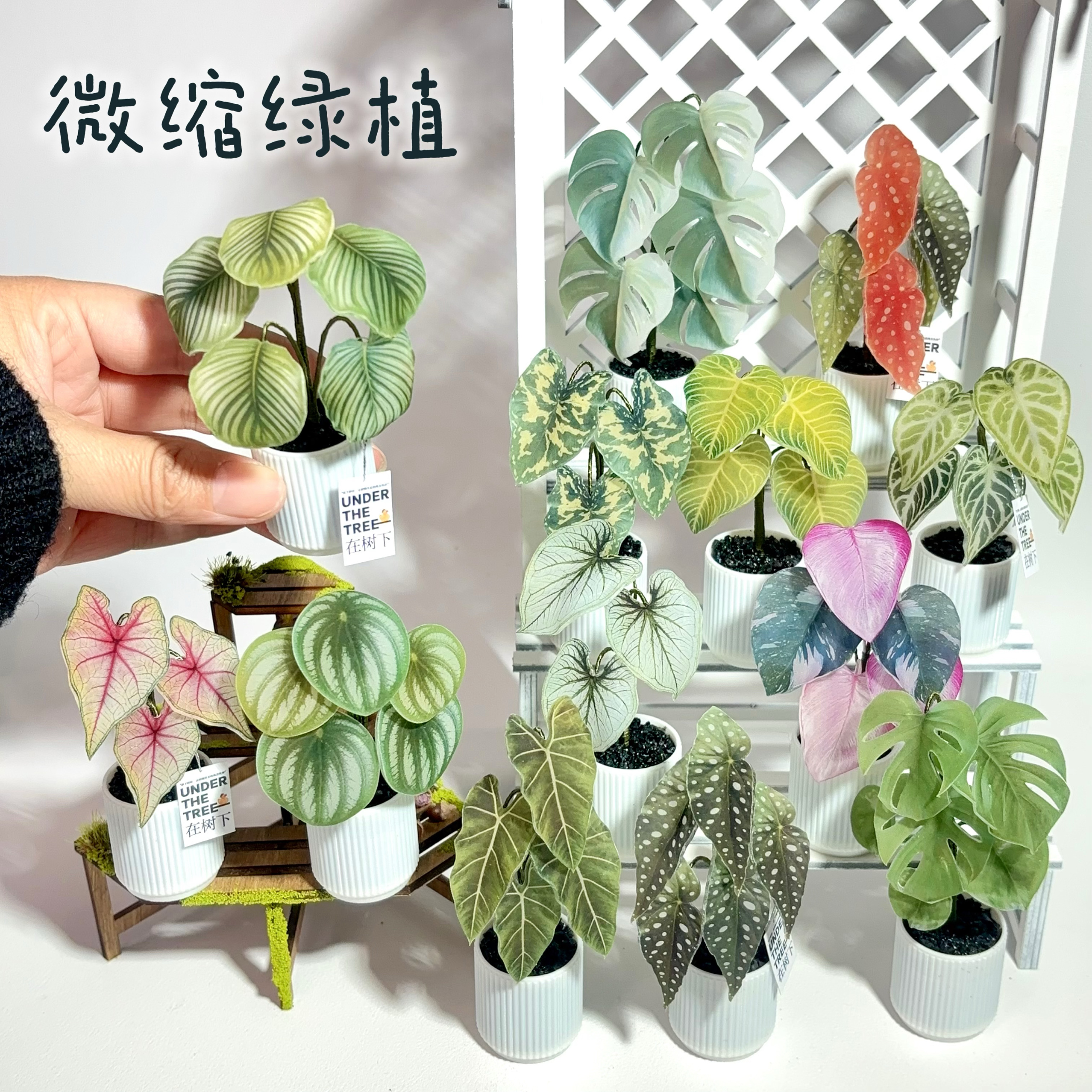 娃娃屋配件仿真秋海棠龟背竹苹果芋盆栽微缩绿植模型摆设拍摄道具
