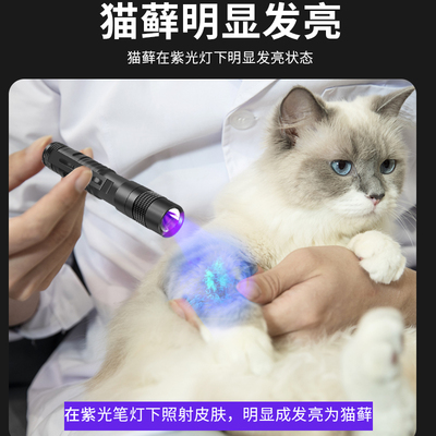 伍德氏灯照猫藓真菌检测电筒3