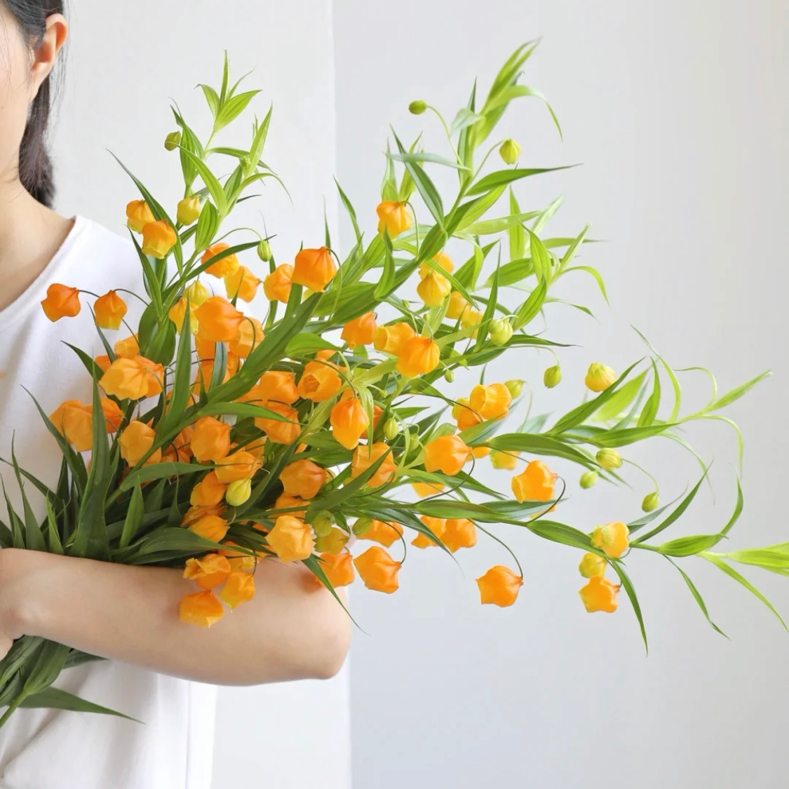 日本宫灯百合进口鲜花速递春节年宵花喜庆灯笼果室内水养花材包邮