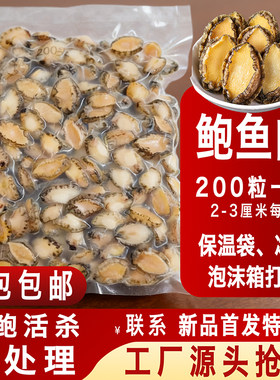 鲍鱼肉 200头小鲍鱼仔烧烤串串去壳去内脏新鲜冷冻爆炒佛跳墙火锅