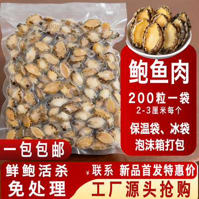 鲍鱼肉 200头小鲍鱼仔烧烤串串去壳去内脏新鲜冷冻爆炒佛跳墙火锅