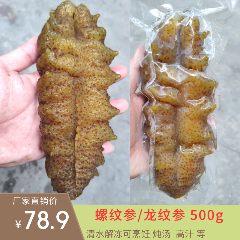 螺纹参参龙纹海参干货即食球参泡冻水发免泡辽参刺参黄玉参