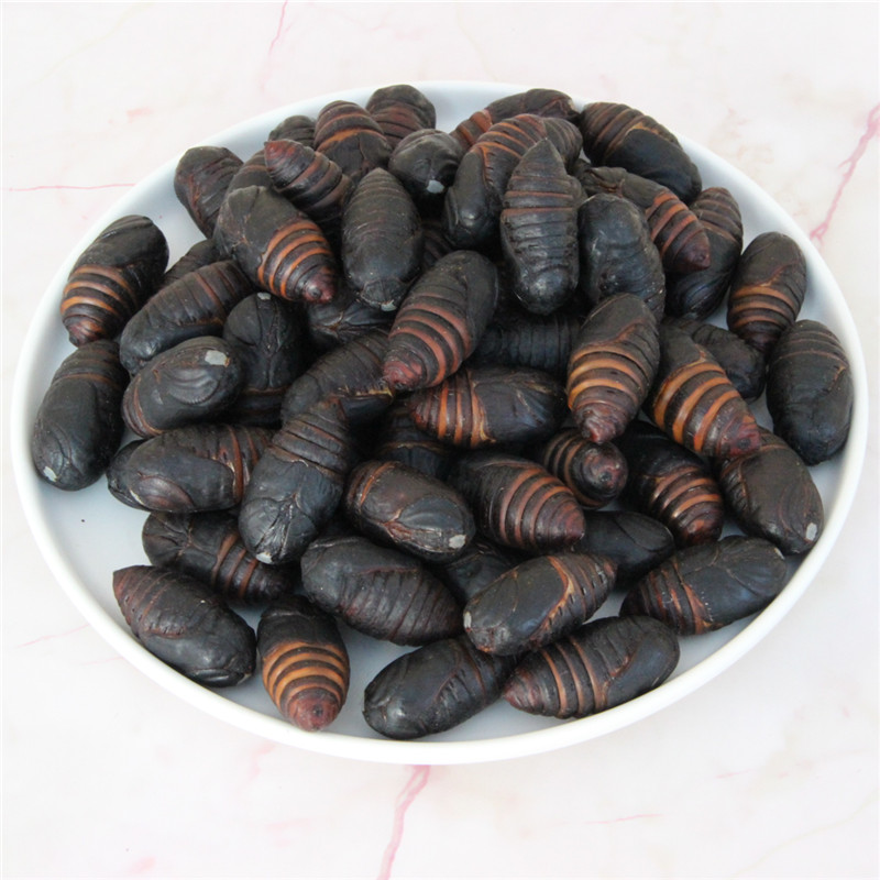 东北特产柞蚕蛹新鲜鲜活黑蚕蛹美味大蝉蛹茧蛹子非即食2斤包邮