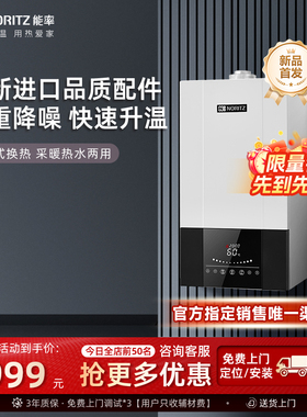 NORITZ/能率 壁挂炉天然气家用地暖采暖炉燃气热水器两用22A3FFA