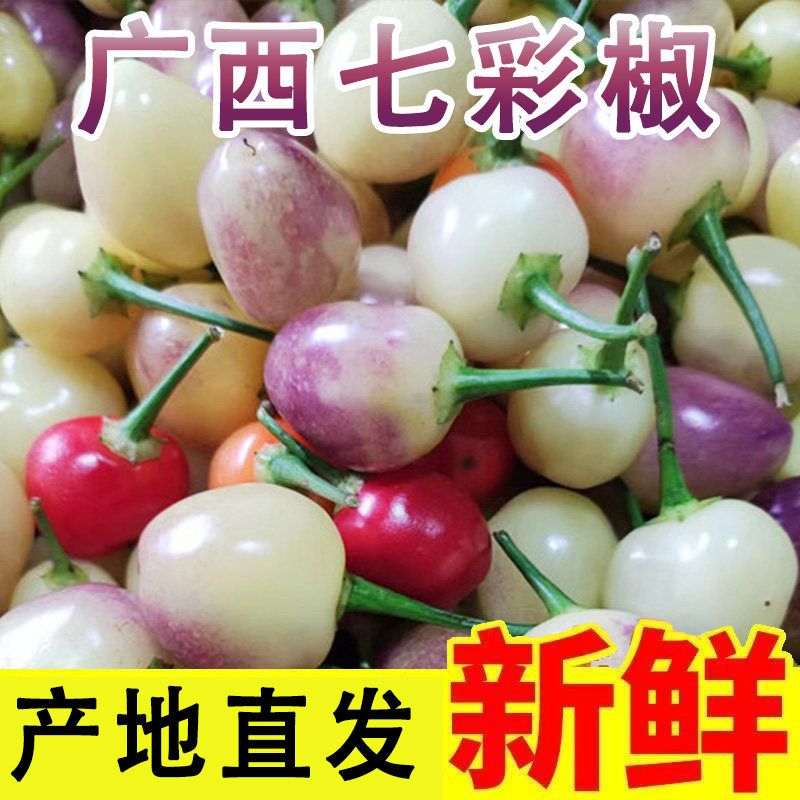 广西现摘新鲜七彩椒可做泡椒
