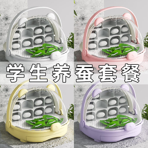 蚕宝宝学生养蚕套装蚕卵蝉宝宝新鲜桑叶幼虫产卵蚕子天然幼蚕彩色