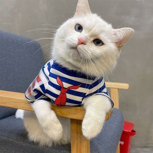 背心服饰 条纹布偶猫蓝猫宠物可爱短袖 猫咪防掉毛衣服25年夏季 薄款