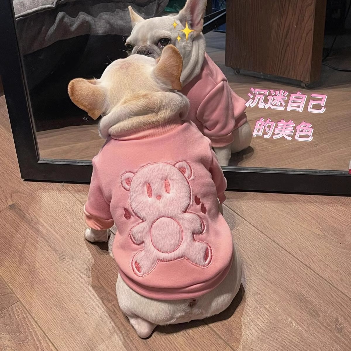 狗狗衣服法斗巴哥雪纳瑞柯基恶霸犬秋冬粉色小熊宠物加绒保暖卫衣