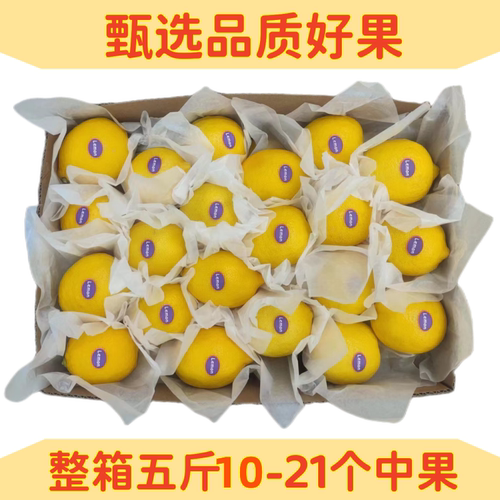 甄选品质黄柠檬新鲜多汁皮薄孕妇水果10-21个特一级五斤整箱包邮