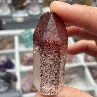 红草莓超七福利