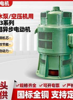 配水泵，空压机用IP23系列三相异步电动机