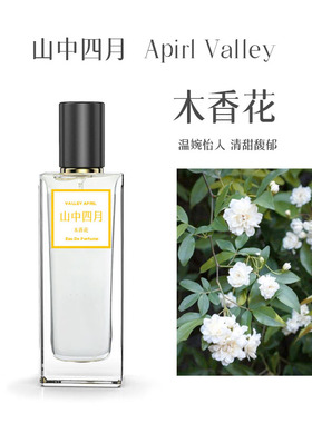 山中四月木香花香水送试香