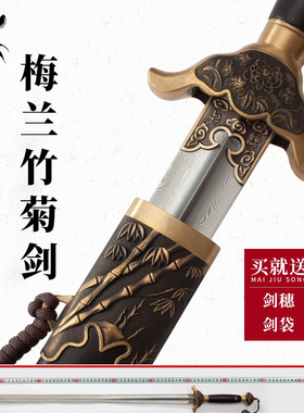 龙泉杨氏太极剑不锈钢梅兰竹菊软剑男女士花纹钢武术晨练剑未开刃