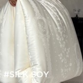 20%蚕丝20%大豆纤维80%聚酯纤维家用欧式 被芯被子200 230cm双人