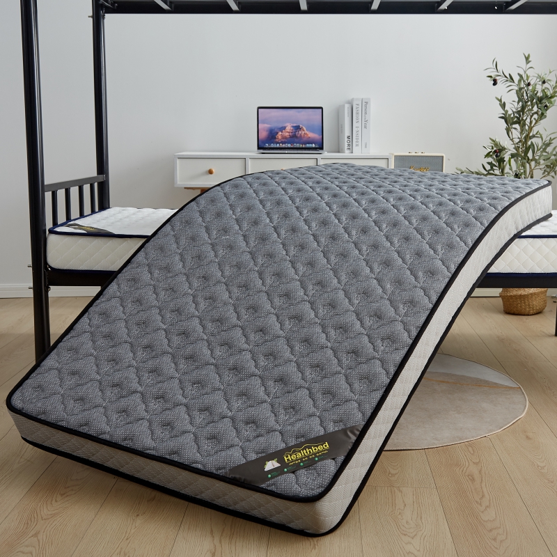 床垫宿舍学生单人乳胶海绵床垫软垫榻榻米记忆棉加厚宿舍垫被床褥