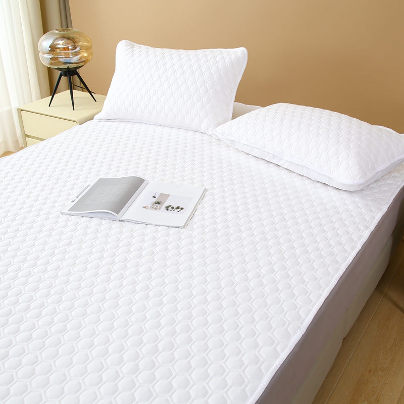 床垫软垫家用卧室保暖垫被褥子防滑床护垫床单人床盖炕单铺底防水